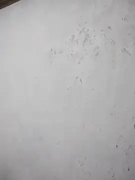 black cobra70 online show from 10.26.25