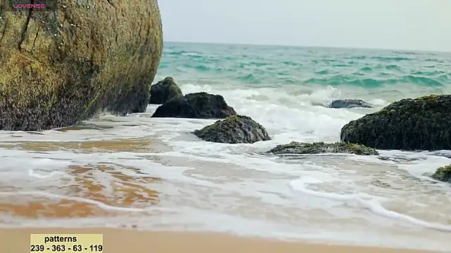 Snapshot of _sex_in_paradise_ chatting on 01.20.25 sex in paradise online show from 01.20.25