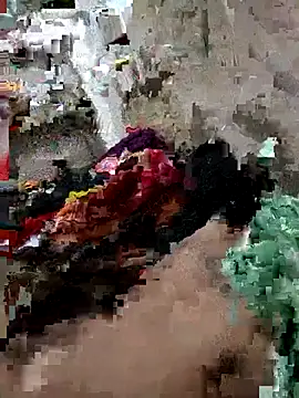 top mickey online show from 01.25.25