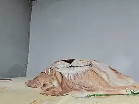 Snapshot of jeffblack2 chatting on 02.01.25 jeffblack2 online show from 02.01.25