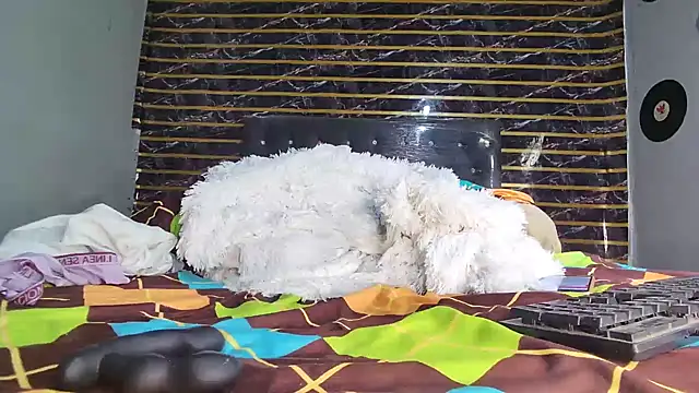 jeffblack2 online show from 04.01.26