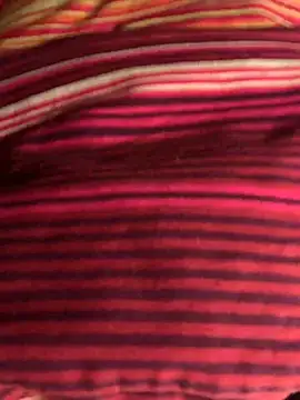 solomec online show from 01.01.25