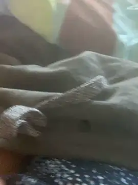 solomec online show from 03.08.25