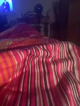 solomec online show from 03.12.25