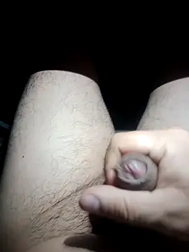 Edipaca online show from 11.18.25