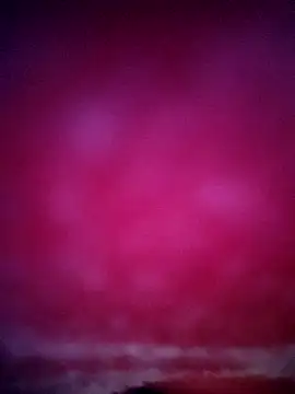 sana14 online show from 01.31.26