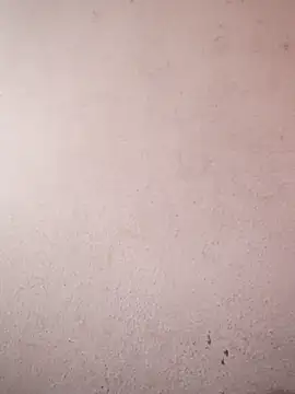 sana14 online show from 02.06.26