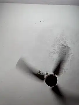 sana14 online show from 03.09.26