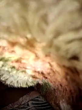 menakshiiikaur online show from 03.05.25