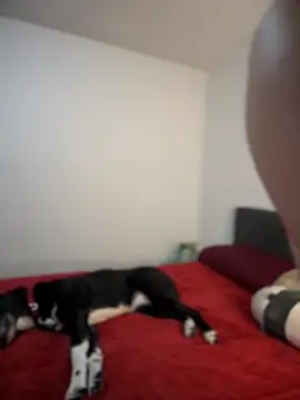 ariiel  online show from 02.03.25