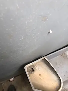 Nicusorescu26 online show from 04.20.26