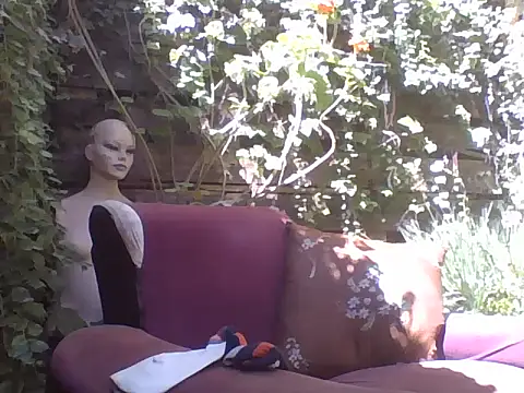 sweetbabyass online show from 03.14.25