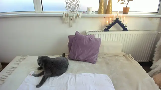 Arya Shinex online show from 01.09.25