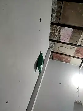 Snapshot of Masti441 chatting on 02.11.25 Masti441 online show from 02.11.25