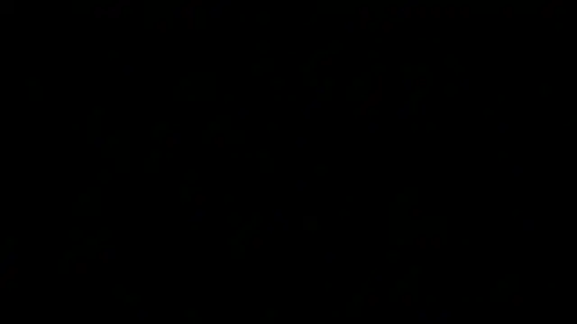 awesome anna online show from 03.19.25