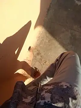 PracticalGum40 online show from 01.11.26