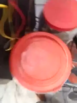 PracticalGum40 online show from 02.02.26