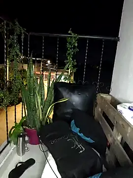 milf venus online show from 12.31.24