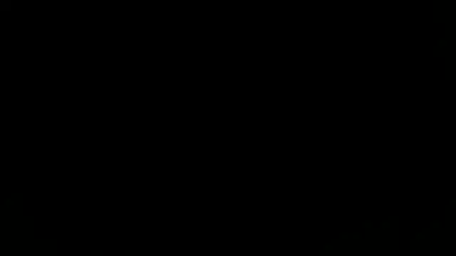 taallguyy 196 online show from 11.23.25