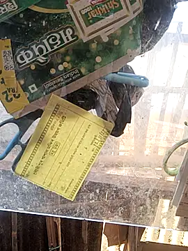 Snapshot of Skinny_Bigass_23 chatting on 11.16.25 Skinny Bigass 23 online show from 11.16.25