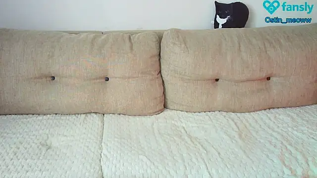 Ostin meow online show from 02.25.25