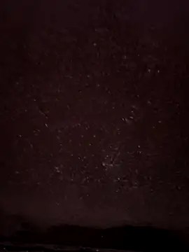 faaseel online show from 02.14.25