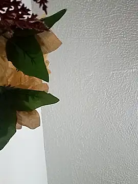 Naomy veracruz  online show from 02.24.26