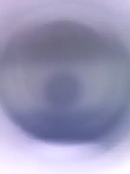 Lorrain Dorrie online show from 01.28.25