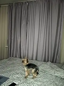 Cute Barbieee  online show from 12.06.24