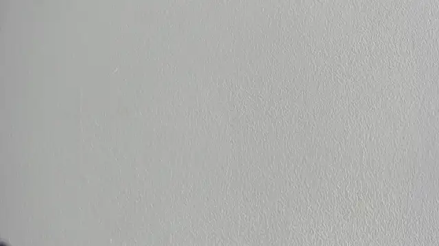 briannaduque online show from 09.20.25