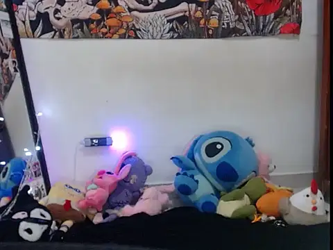 hachi kitty online show from 05.24.26
