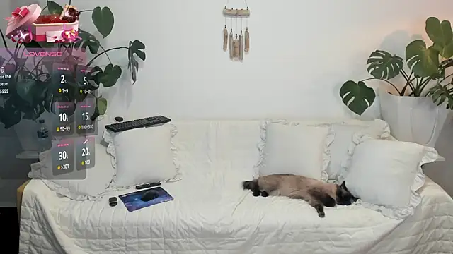 Snapshot of Amie_Hill chatting on 02.16.26 Amie Hill online show from 02.16.26