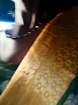 Kajal  Mehra online show from 03.28.26