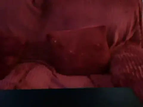 Emmamilfita online show from 02.25.25