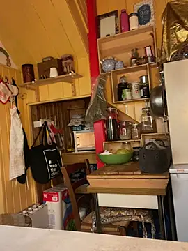 zenzero87 online show from 12.29.24