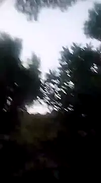 Snapshot of Danna-linyi chatting on 12.20.24 Danna-linyi online show from 12.20.24