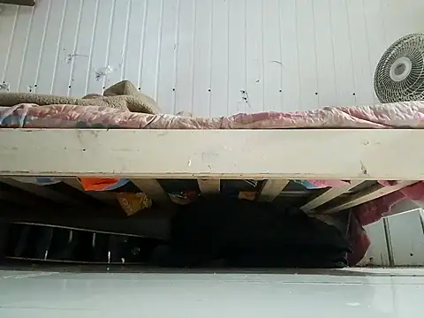 frotasso online show from 02.13.26