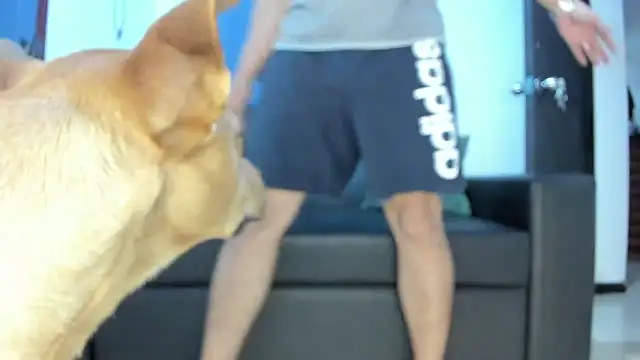 Snapshot of boss_of_cash chatting on 10.18.25 boss of cash online show from 10.18.25