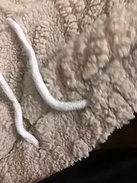 Snapshot of Dominador50T0ns chatting on 11.22.25 Dominador50T0ns online show from 11.22.25