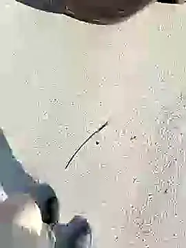 Snapshot of chootkapyasa007 chatting on 01.27.25 chootkapyasa007 online show from 01.27.25