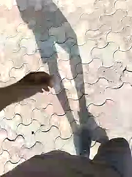 Snapshot of chootkapyasa007 chatting on 09.13.25 chootkapyasa007 online show from 09.13.25