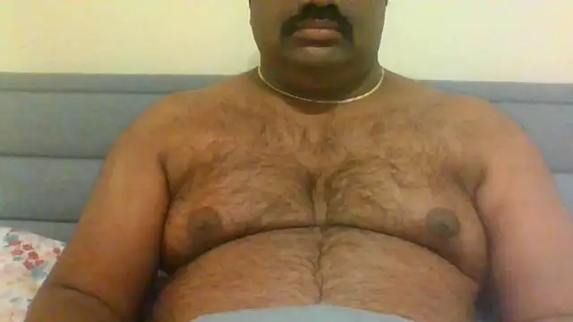 indianbearbot online show from 12.28.24