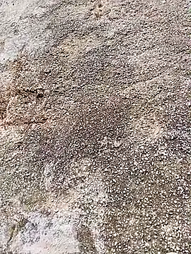 Eleni Pappa online show from 04.06.26