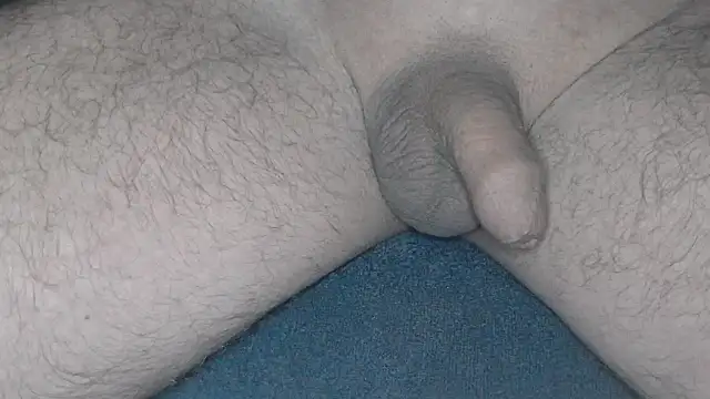 cs1512 online show from 02.26.25