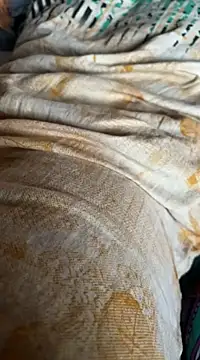 Indiancockmilk online show from 02.11.25