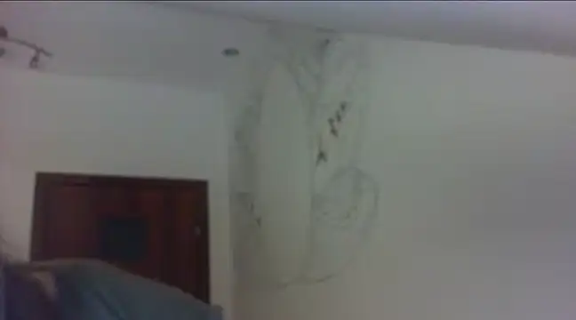 Snapshot of MeganGold chatting on 12.28.24 MeganGold online show from 12.28.24