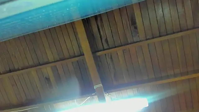 jeicob gagnon online show from 09.15.25