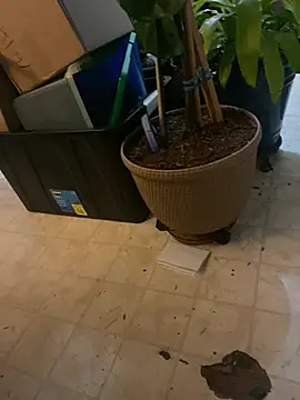 Snapshot of Thickirishcock850 chatting on 03.23.26 Thickirishcock850 online show from 03.23.26