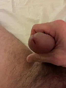 Vildulege3400 online show from 03.17.26