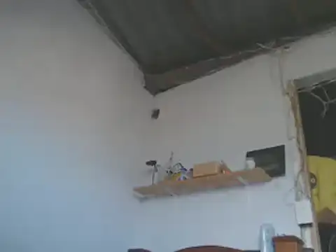 gatoalex89 online show from 01.15.25